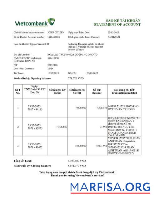 Printable Vietnam Vietcombank statement of account word version 2 sample